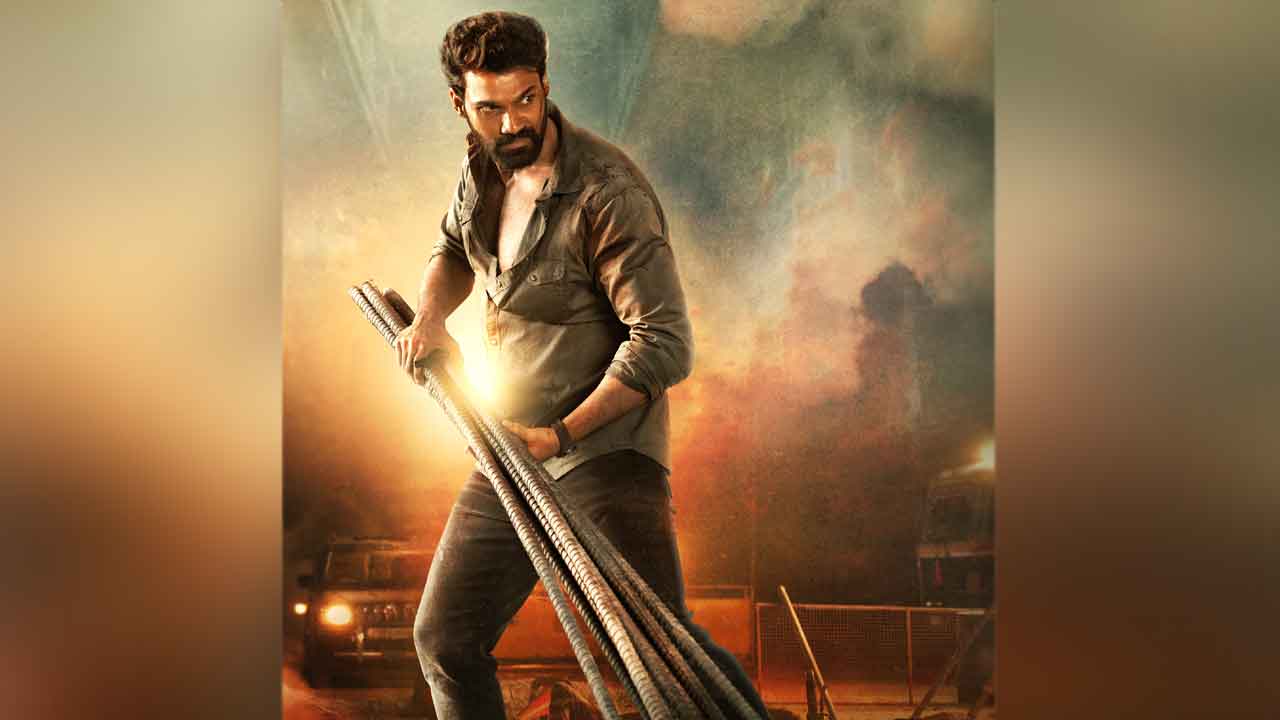 టైసన్‌ నాయుడు పోరాటాలు