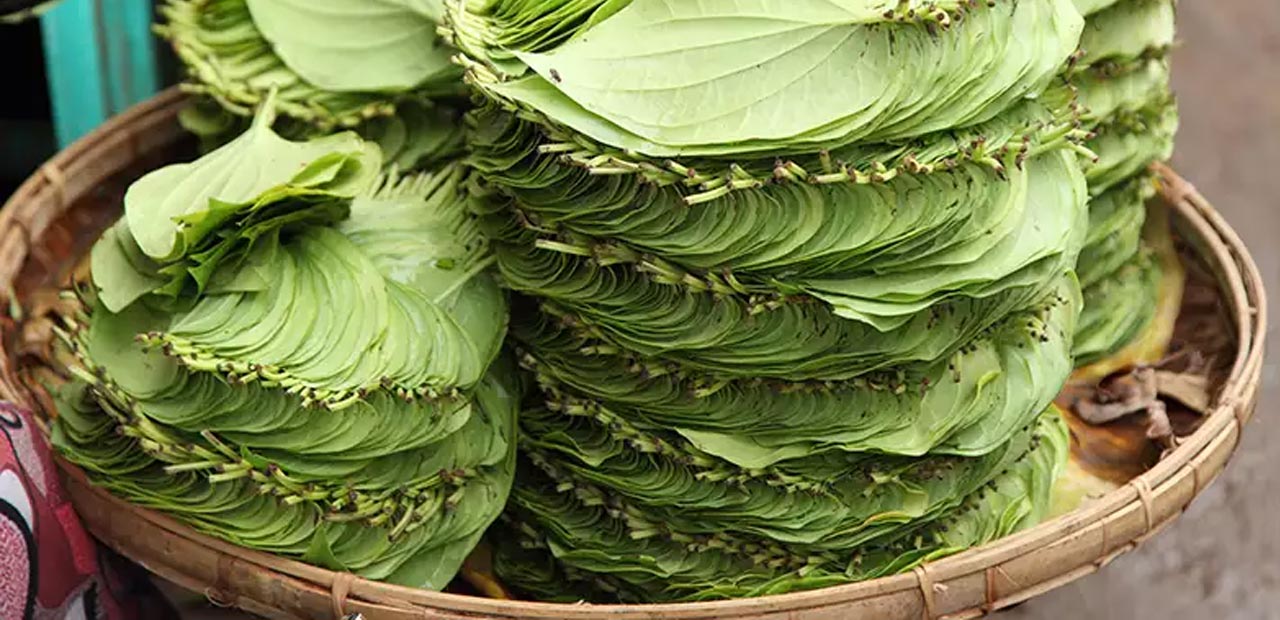Betel Leaf | తమలపాకును నీళ్లలో మరిగించి తాగితే ఆ సమస్యలన్నీ మటుమాయం..!