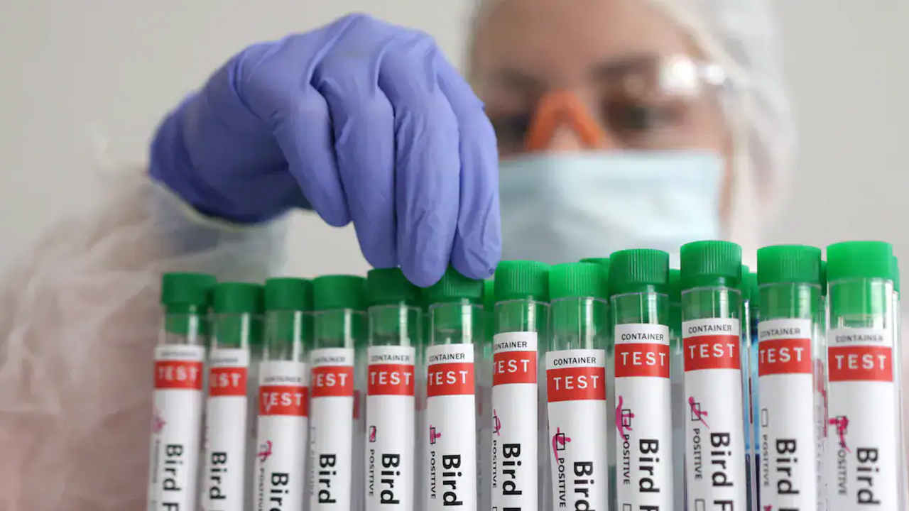 Bird Flu | అమెరికాలో మరో వ్యక్తికి బర్డ్‌ ఫ్లూ..! కంటి నమూనాల్లో పాజిటివ్‌..!