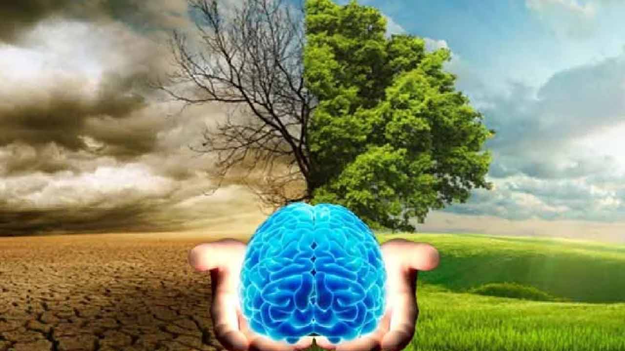 మెదడుపై వాతావరణ మార్పుల ప్రభావం