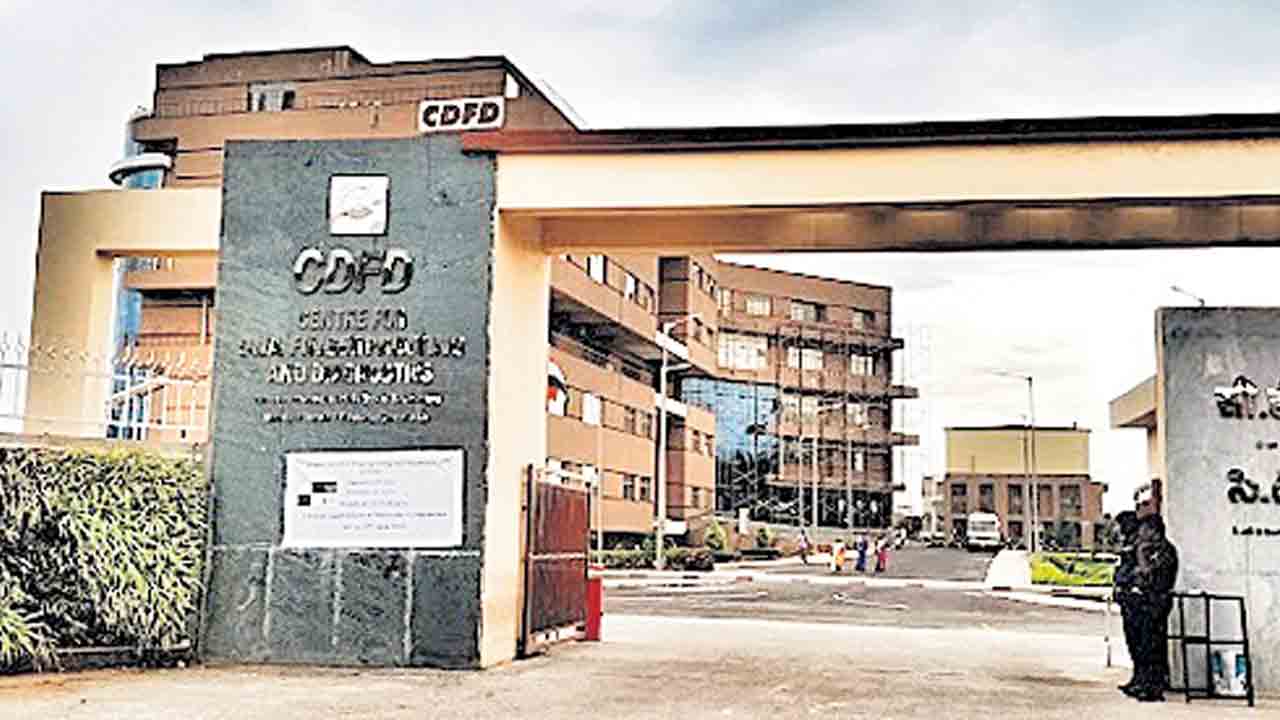 హెల్త్‌ కేర్‌ ఆవిష్కరణలకు సీడీఎఫ్డీ వేదిక