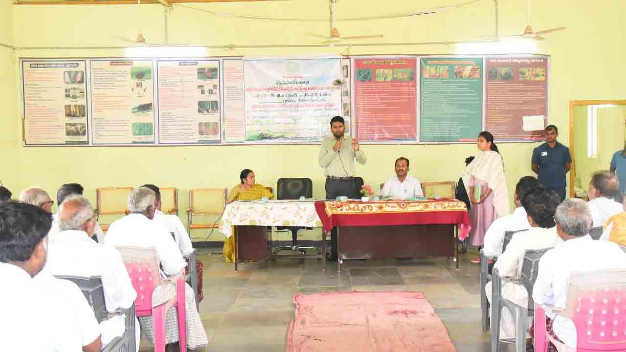 నాణ్యమైన విత్తనాలే కొనాలి