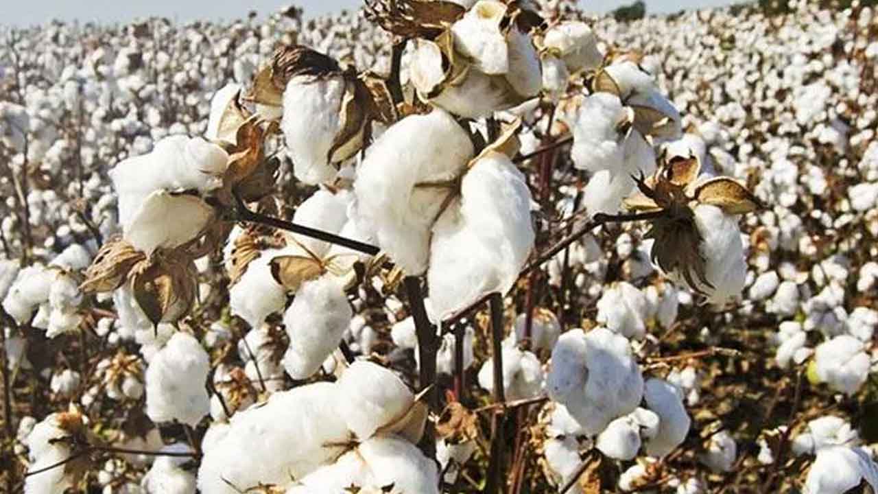 దళారీ చేతిలో రైతుల దగా