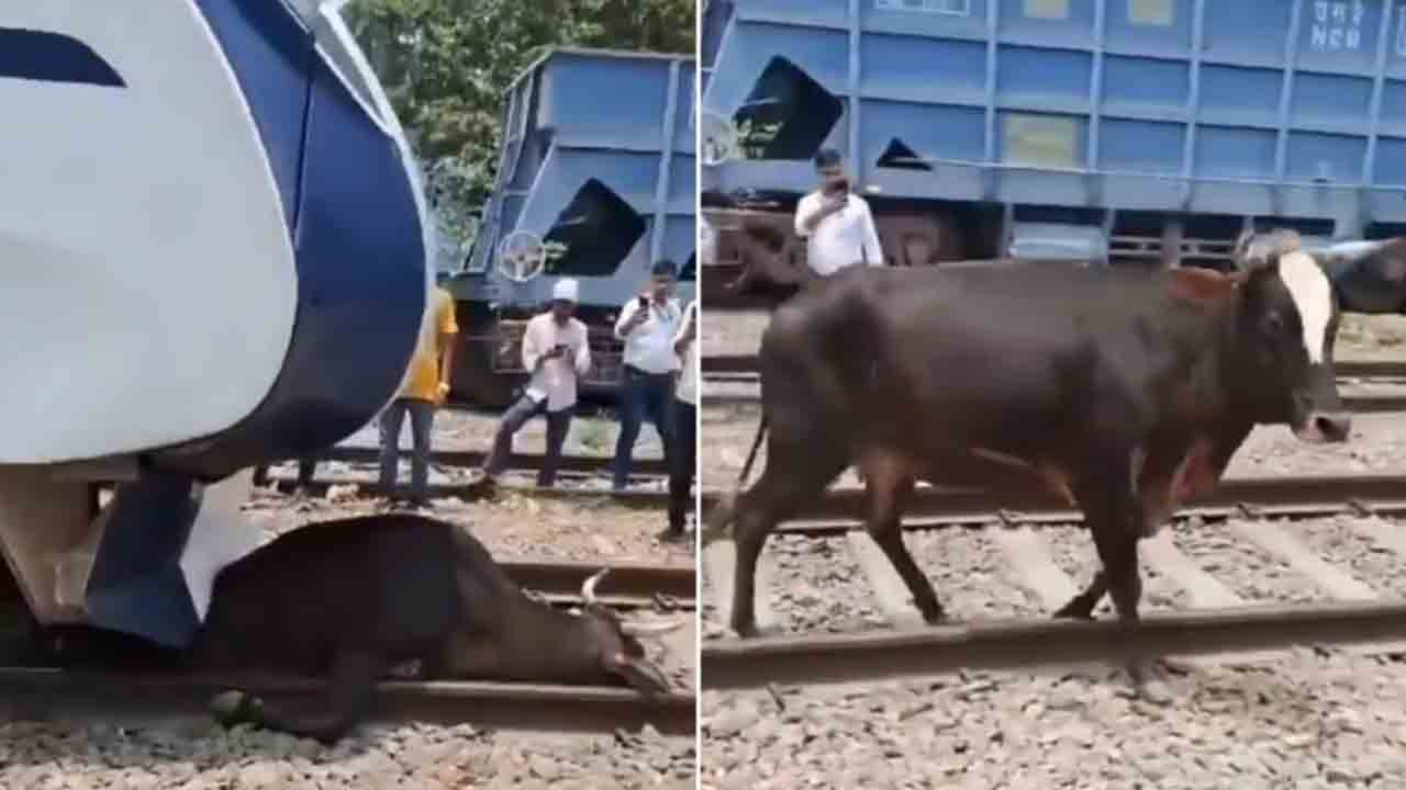 Watch: వందే భారత్ రైలు ఇంజిన్‌ కింద చిక్కుకున్న ఆవు.. తర్వాత ఏం జరిగిందంటే?