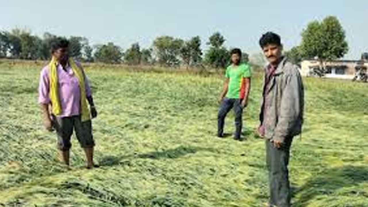 పంట నష్టపరిహారం 15.8 కోట్లు