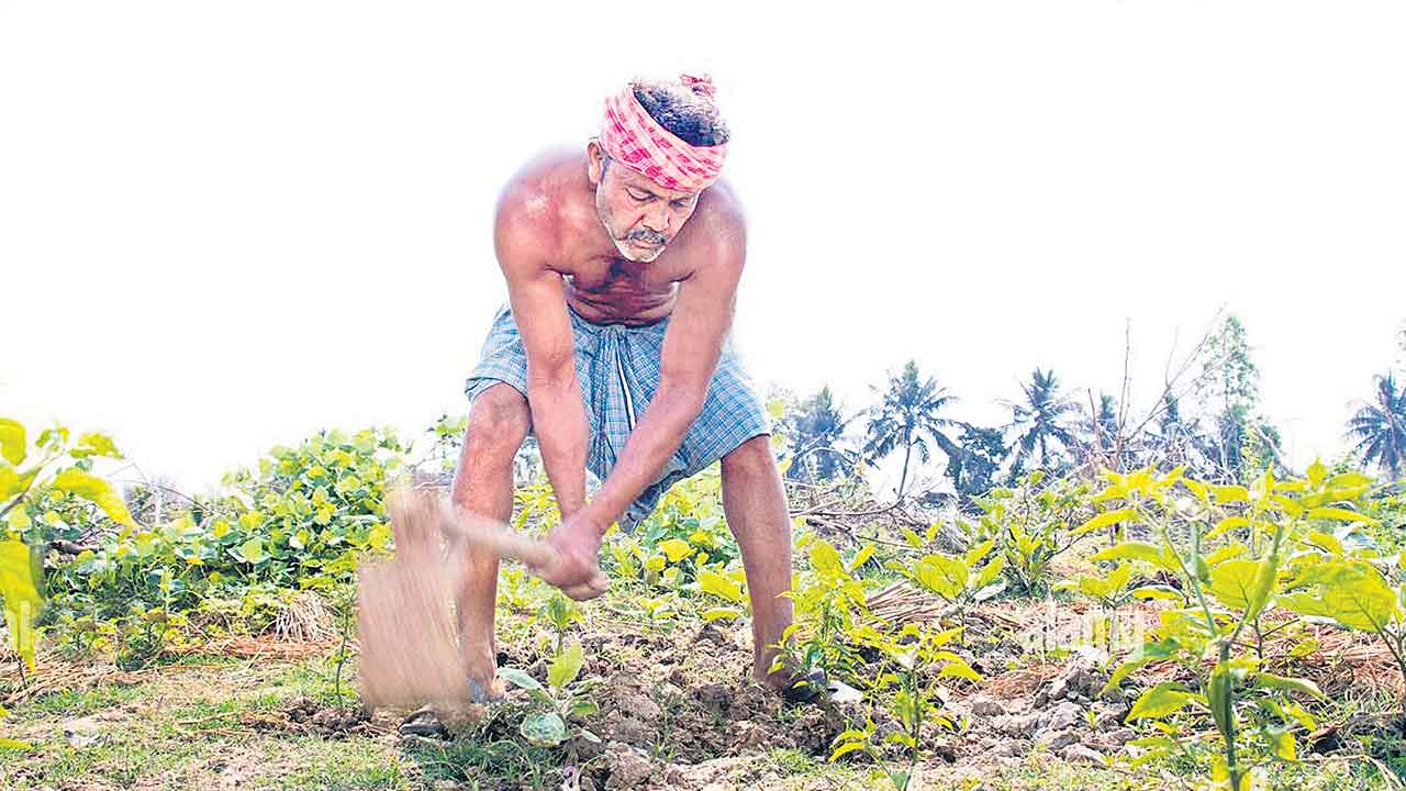 రైతుబంధుకు కొర్రీలు అన్నదాతల్లో గుబులు
