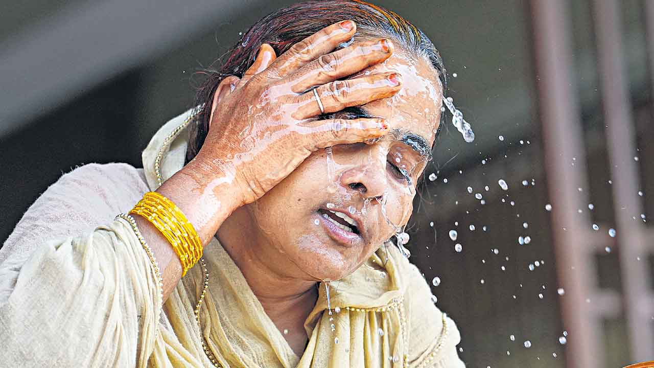 Delhi | ఎండలకు తల్ల ఢిల్లీ.. దేశ చరిత్రలోనే అత్యధిక ఉష్ణోగ్రత