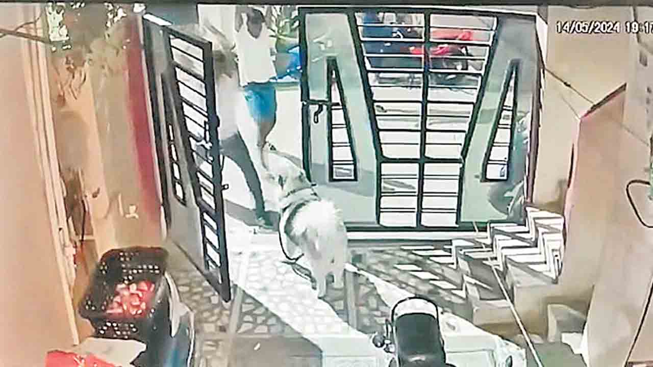 కుక్కను ఉసిగొల్పారంటూ.. దాడి.. ప్రతిదాడి