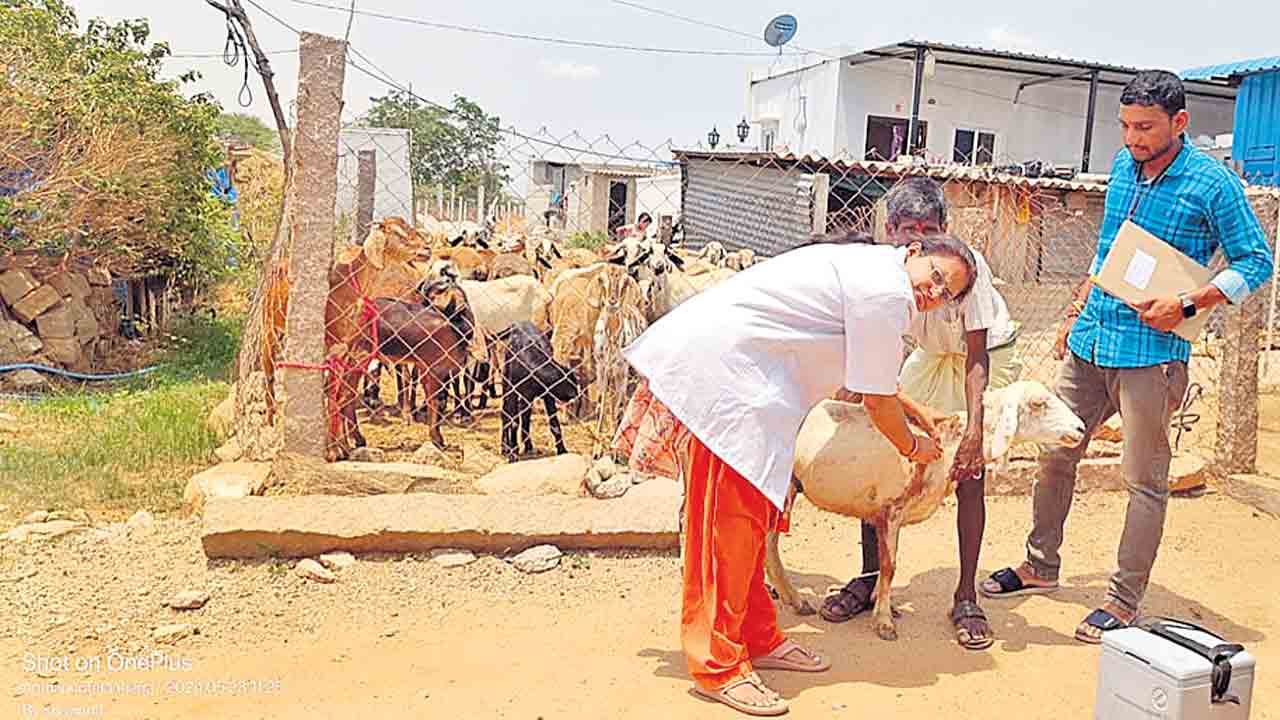 వ్యాధి నిరోధక టీకాలు వేయించాలి