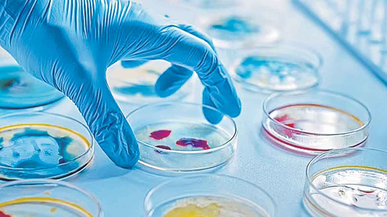 Ebola | ఎబోలా వైరస్‌ కొత్త మ్యుటెంట్‌.. ల్యాబ్‌లో సృష్టించిన చైనా శాస్త్రవేత్తలు