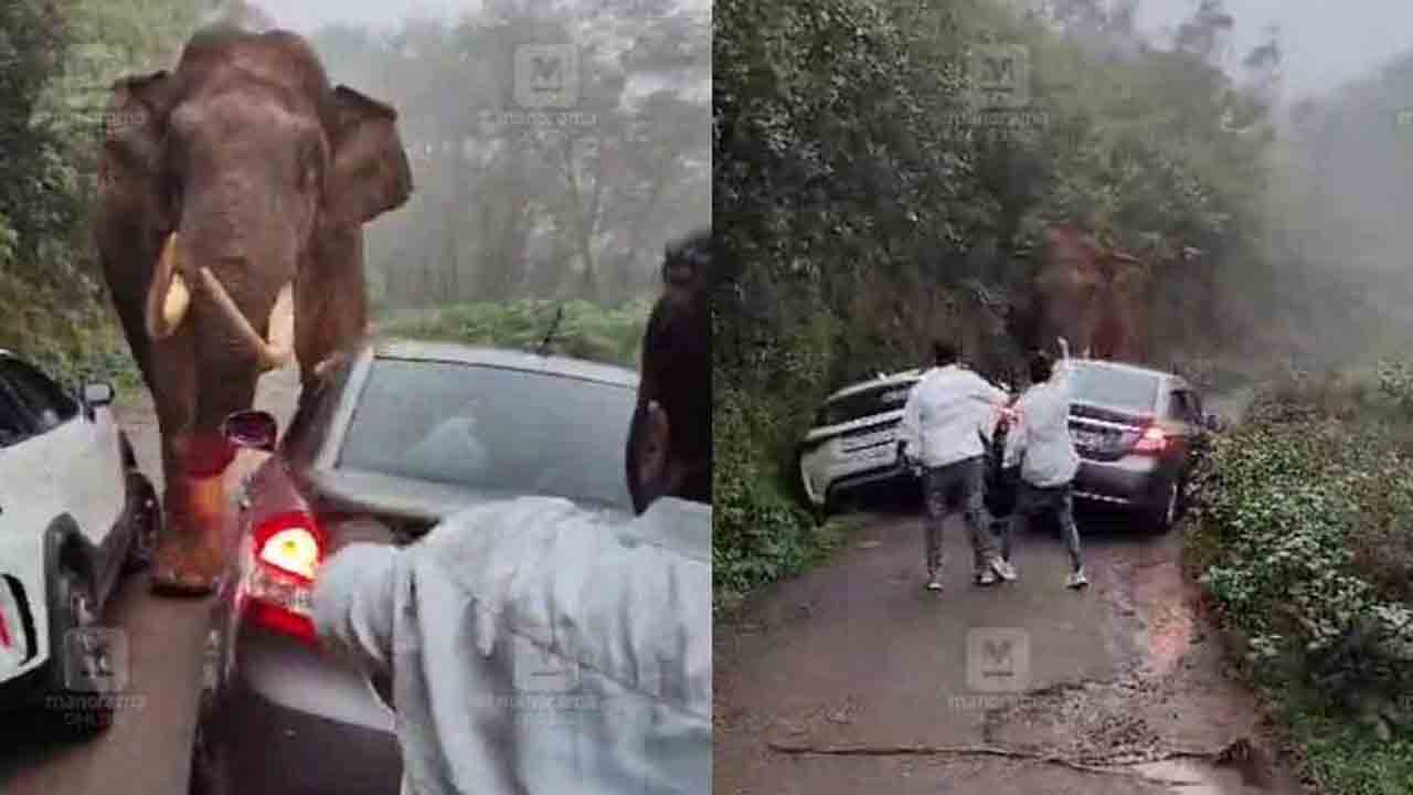 Elephant | మున్నార్‌లో ఏనుగు బీభత్సం.. పర్యాటకుల కార్లు ధ్వంసం
