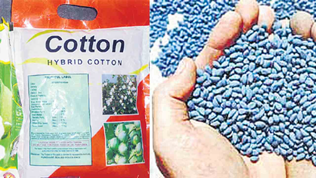 కోరత రొసృష్టిస్తూ.. జేబులు కొల్లగొడుతూ..