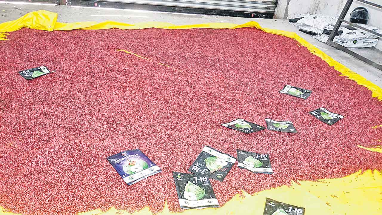 ఆగని నకిలీ విత్తన దందా