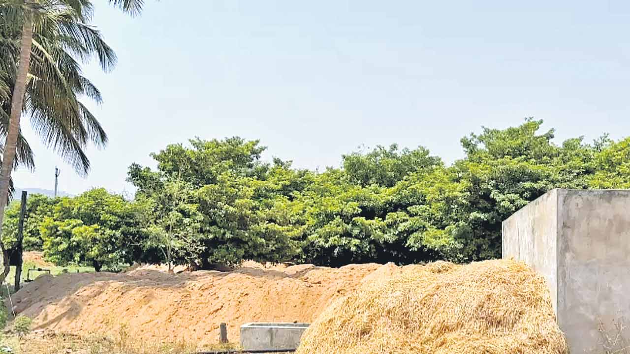 Kollapur | మంత్రి ఇలాకాలో ఇసుకాసురులు!.. కొల్లాపూర్‌లోని పెద్దవాగు కేంద్రంగా ఇసుక దందా