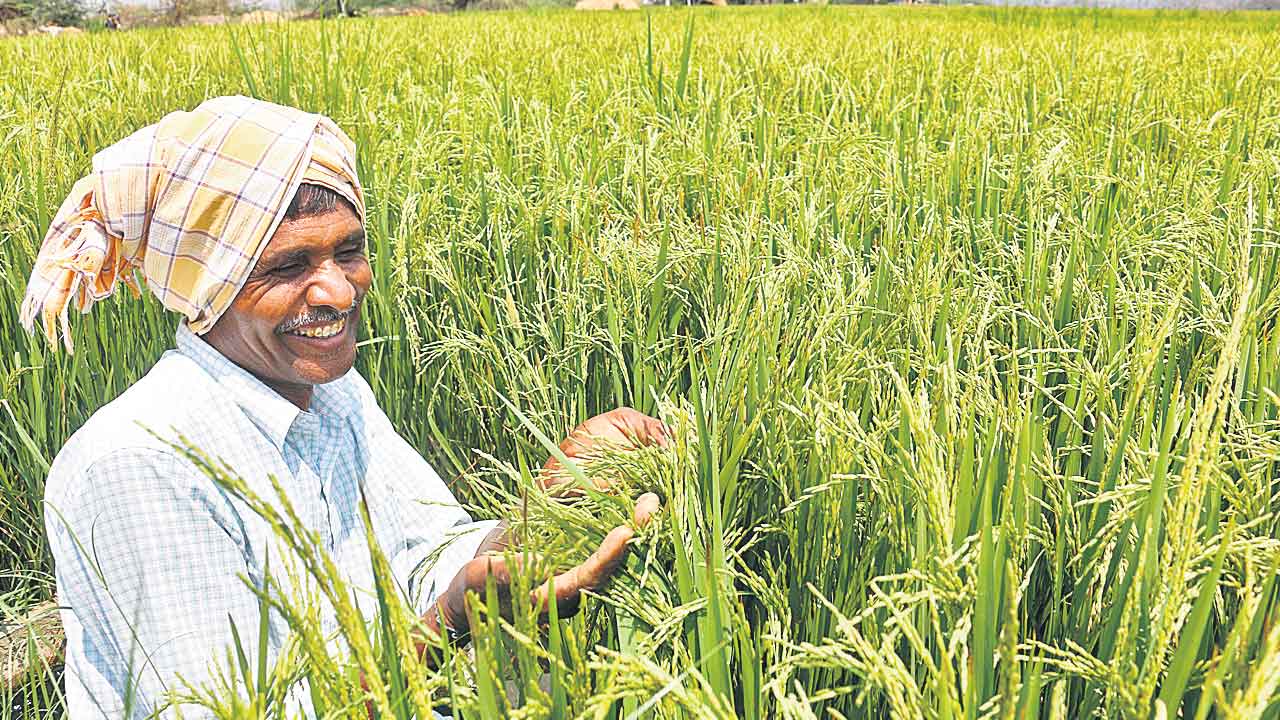 దేశానికి అన్నపూర్ణ తెలంగాణ