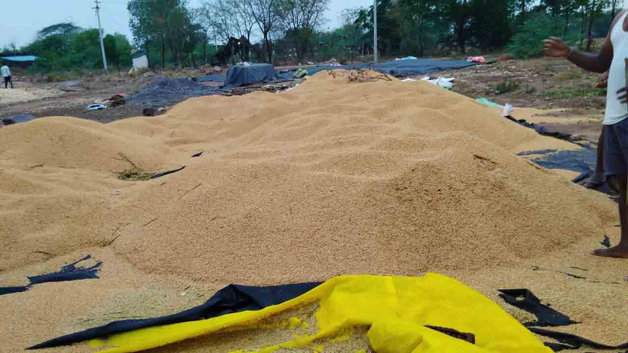 అకాల వర్షం.. తడిసిన ధాన్యం