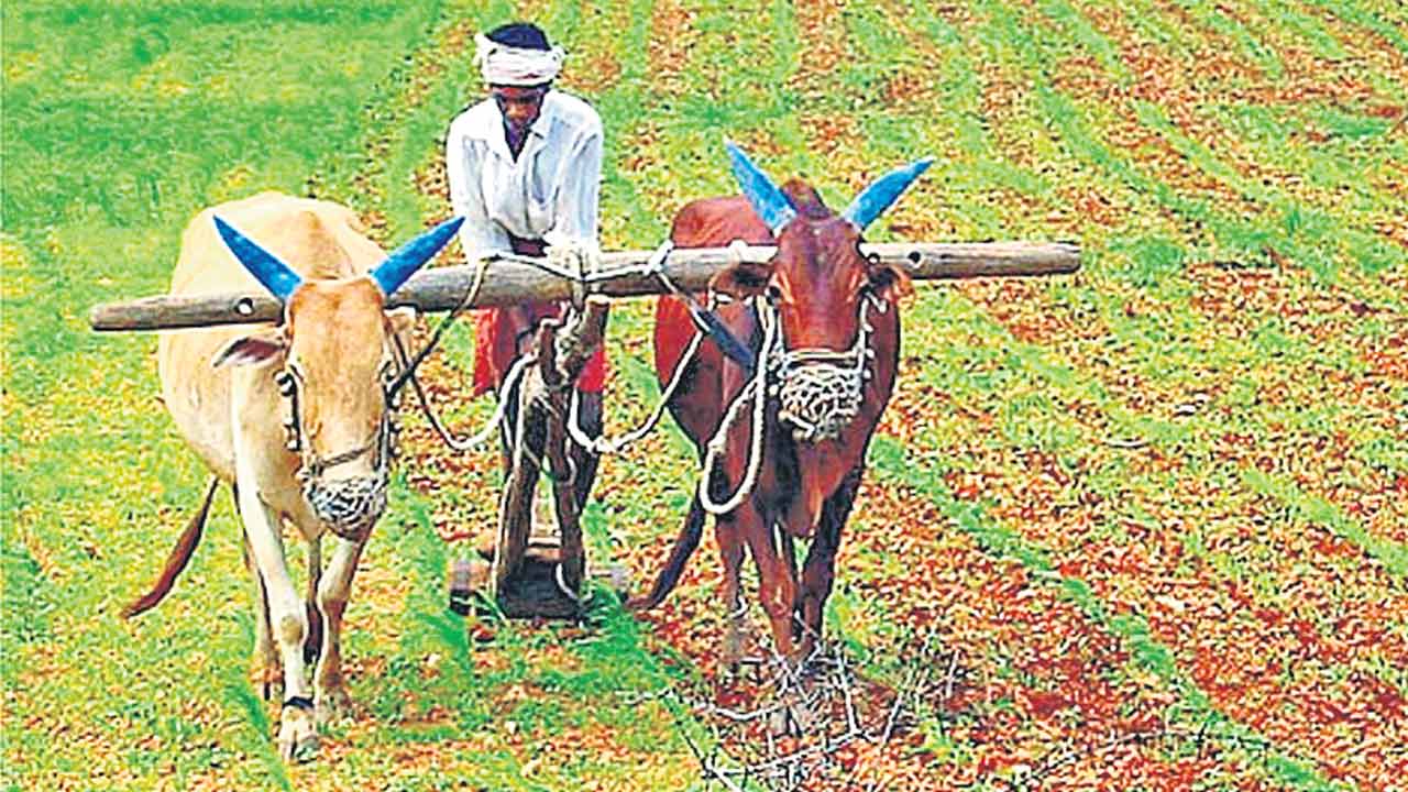 Rythu Bharosa | రైతుల నుంచి 15 వేల కోట్లు లూటీ!.. రైతుభరోసాకు కొత్త రూల్స్‌ పేరుతో కాంగ్రెస్‌ టోకరా