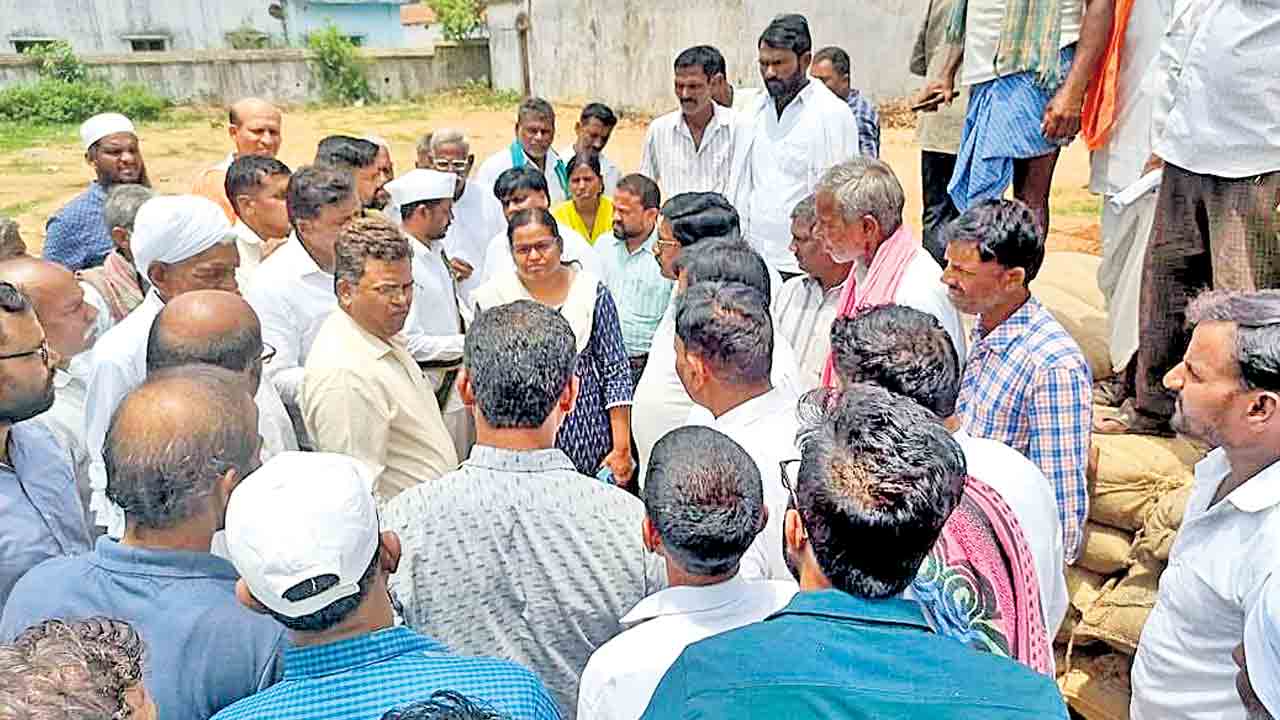 మొత్తం జొన్నలు కొనాలి