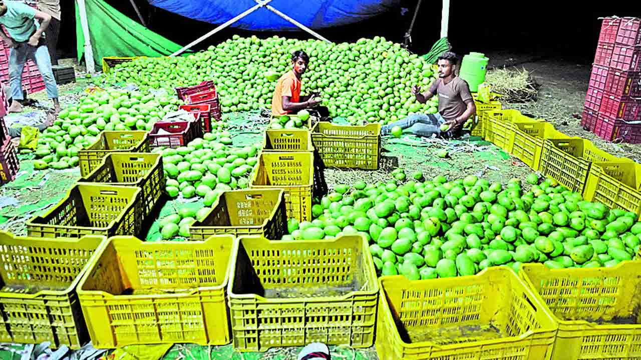 మామిడికి సరికొత్త మార్కెట్‌