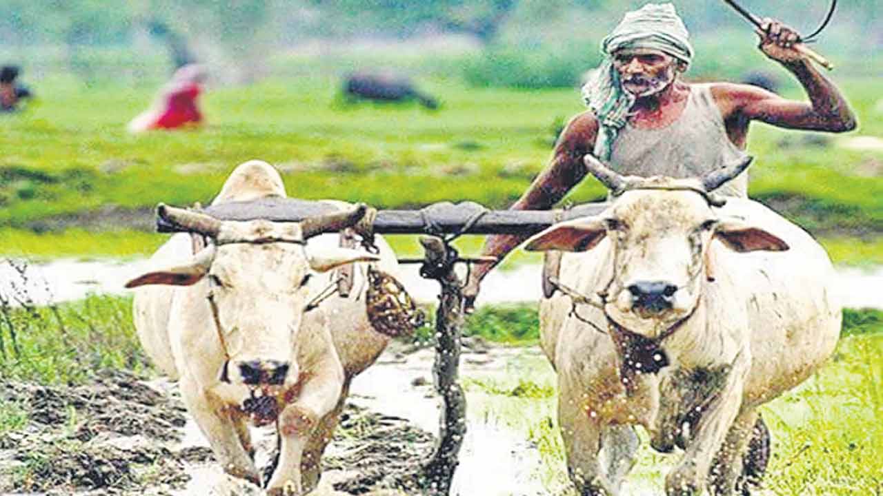 BJP | రైతు గోస బీజేపీ పుణ్యమే.. పదేండ్లలో అదనపు భారం తప్ప.. మేలు చేసిందేమీ లేదు!