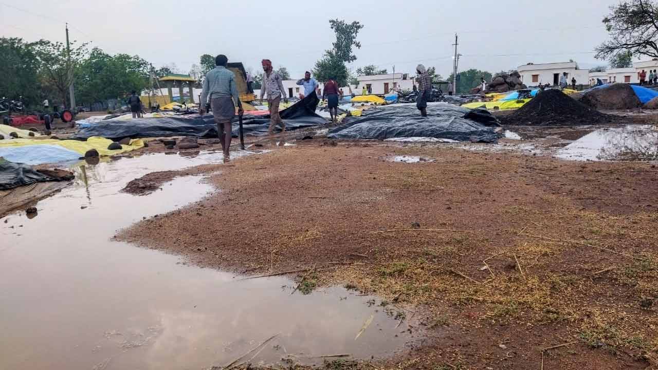 అకాల వర్షానికి తడిసిన ధాన్యం