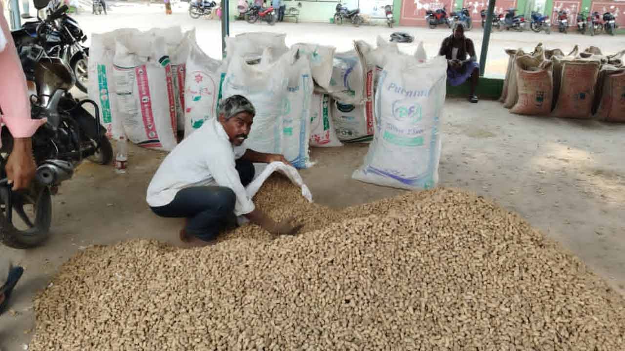 వేరుశనగను కొంటలేరని ఇంటికి వాపస్‌