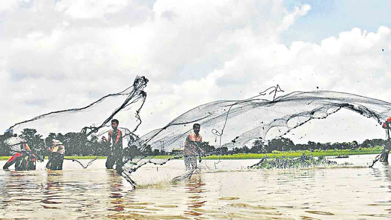 నీలి విప్లవంపై నిర్లక్ష్యపు నీడలు