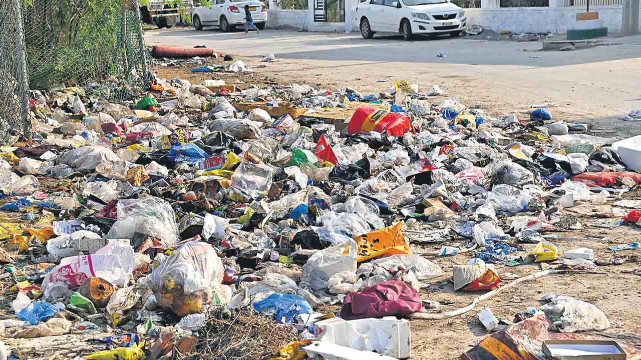 వ్యర్థాలు తీయక..దుర్వాసన వీడక