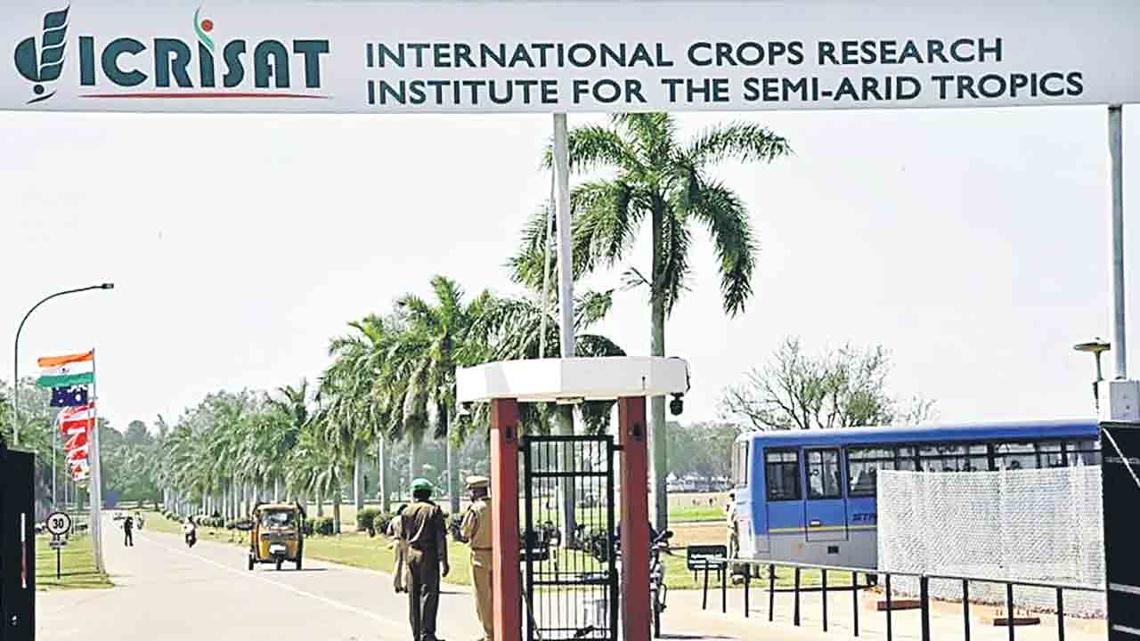 150 దేశాలకు 1.65 మిలియన్ల సీడ్‌ శాంపిల్స్‌