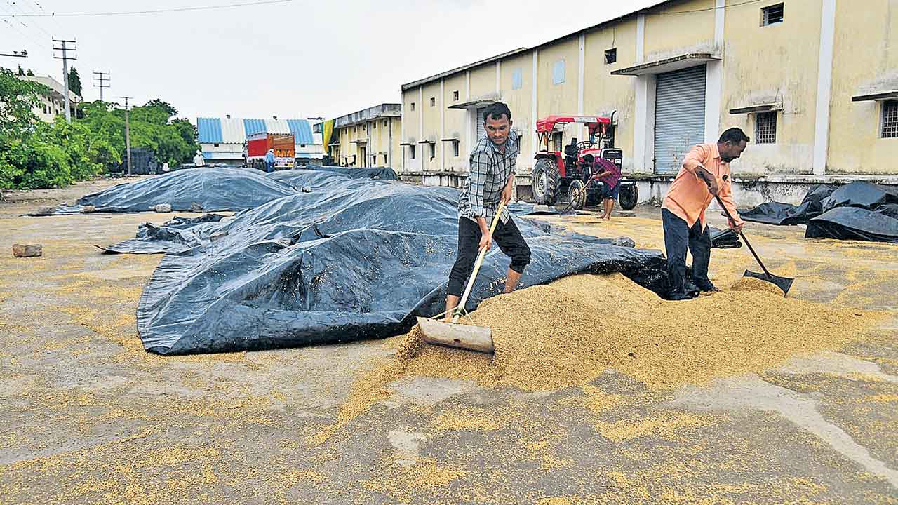 Telangana | మరోసారి రాష్ర్టాన్ని ముంచెత్తిన వాన.. భారీ వర్షానికి కొట్టుకుపోయిన వడ్లు..
