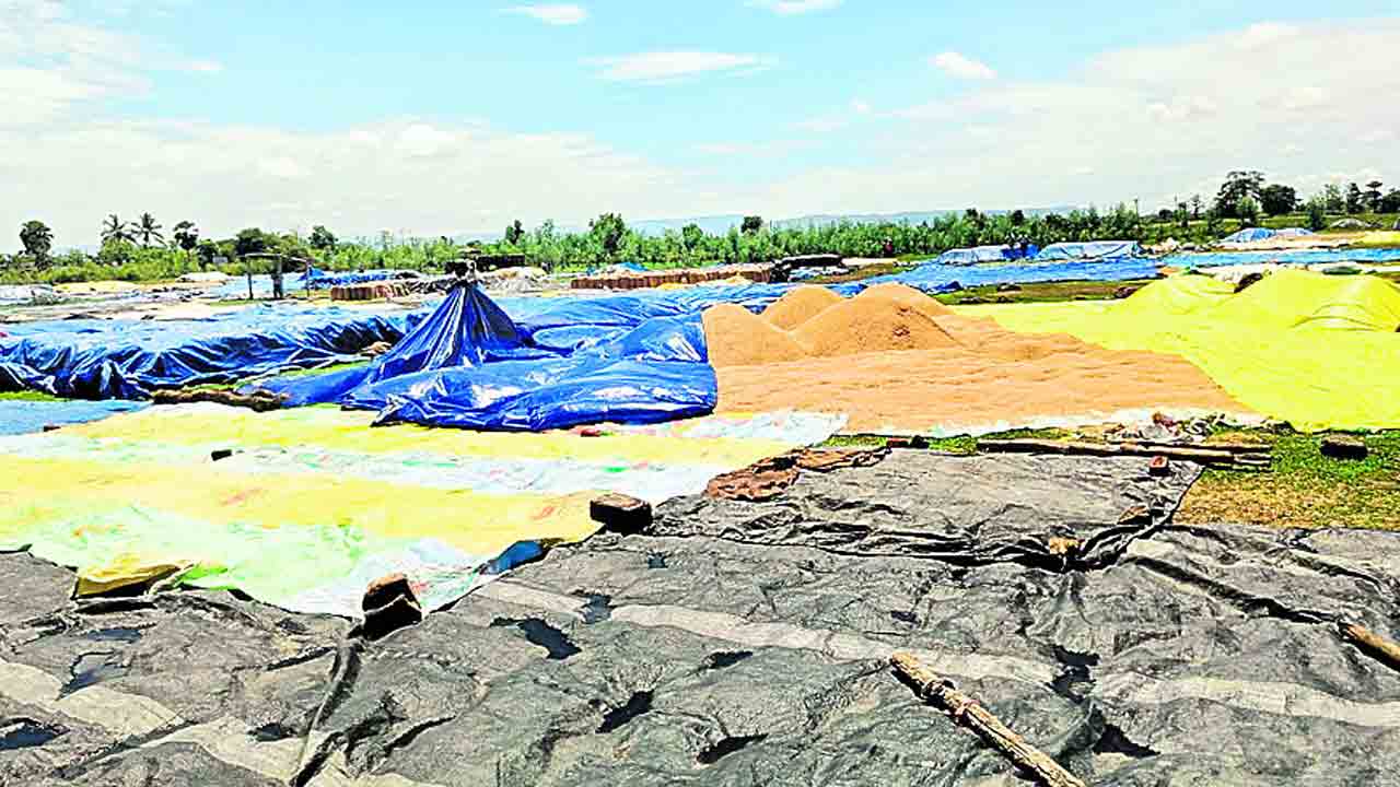 ధాన్యం.. ధాన్యం