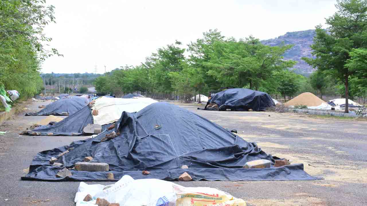 వడ్లు మొలకెత్తుతున్నయ్‌..