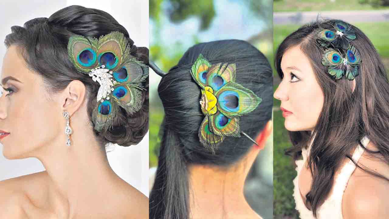 శిఖి పింఛం… మురిపించెన్‌!