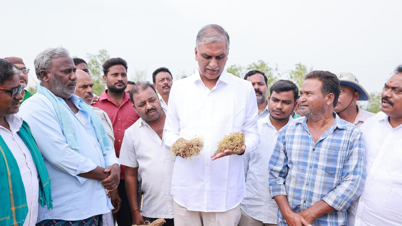 Harish Rao | రైతుల గుండెలపై తన్నింది రేవంత్‌రెడ్డి ప్రభుత్వం : హరీశ్‌రావు