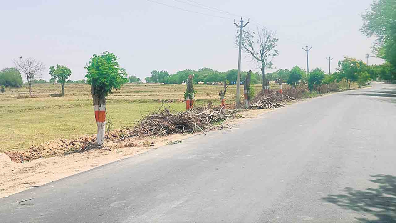  వృక్షవిలాపం
