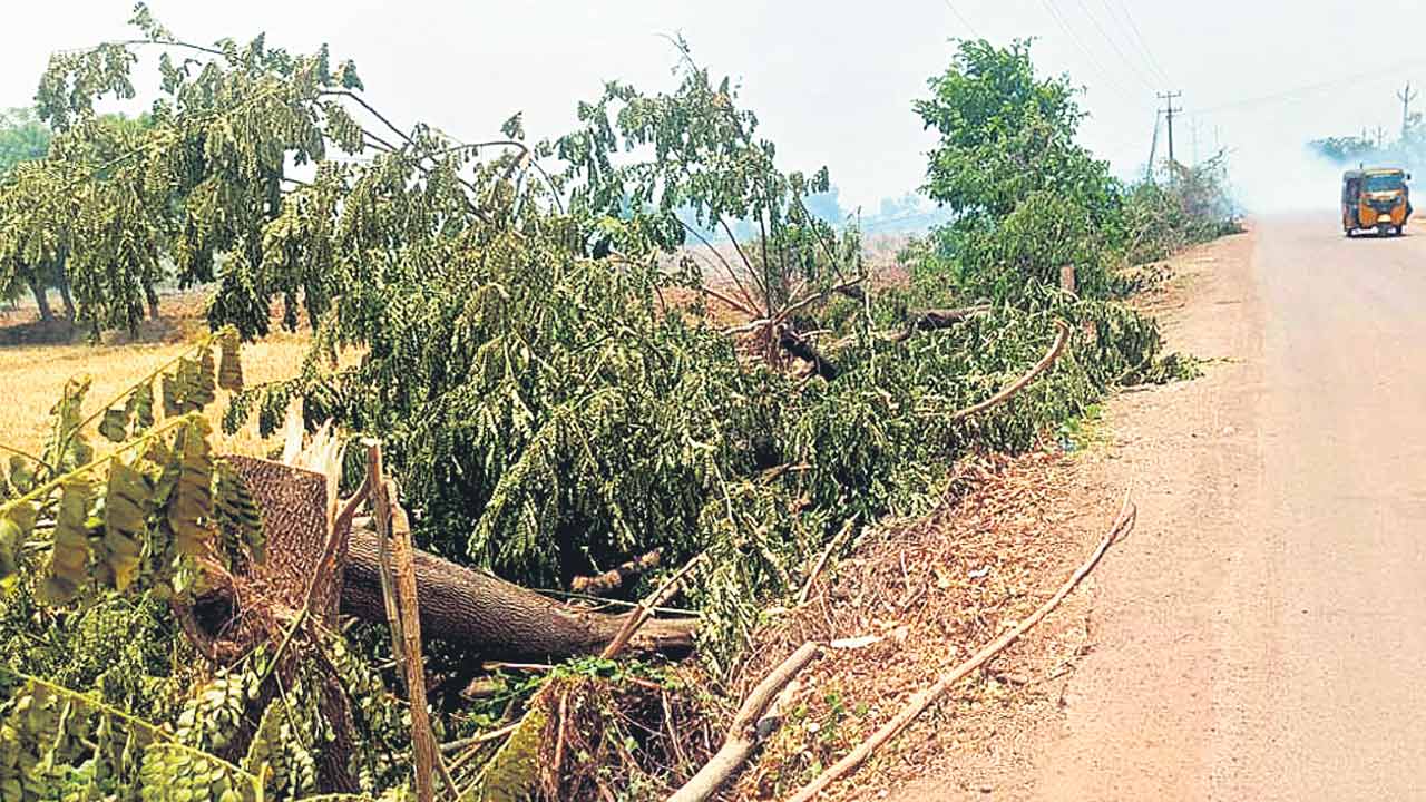 ‘హరిత’ వృక్షాలపై వేటు