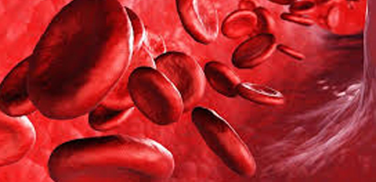 Health tips | వీటిని దూరం పెడితే రక్తం పలుచబడి ఆరోగ్యం మెరుగవుతుందట..!