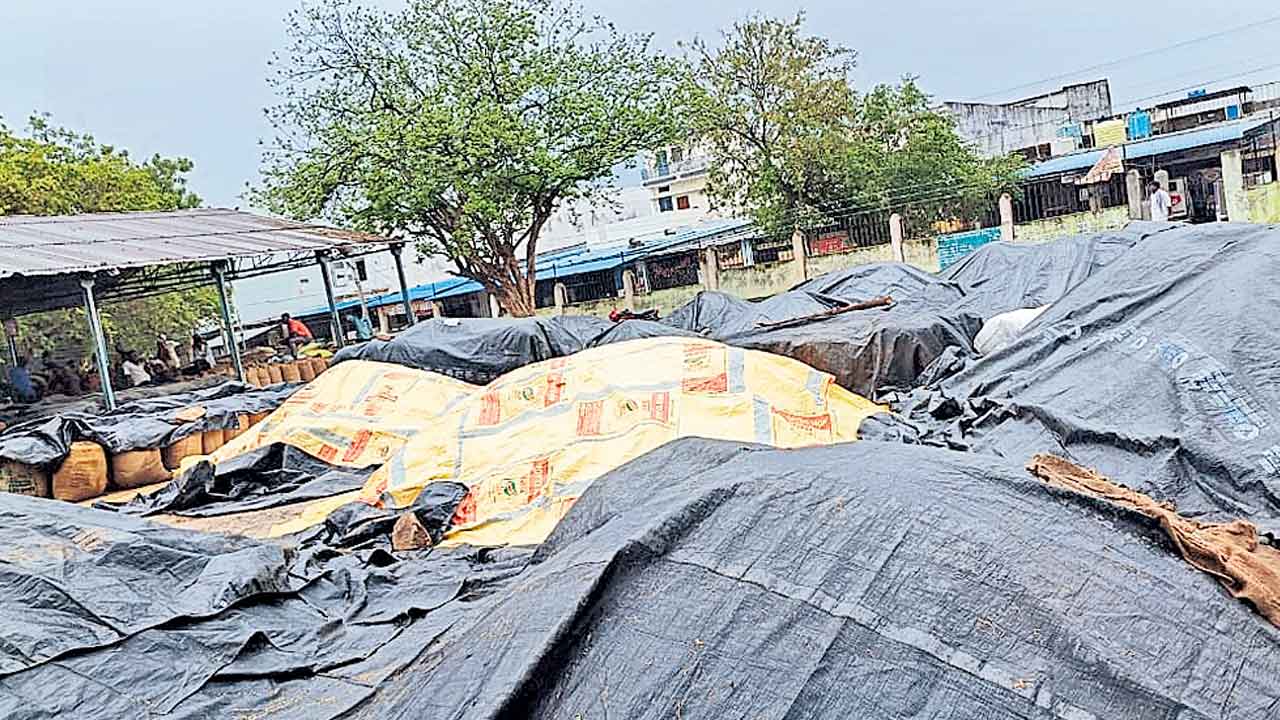 గాలివాన బీభత్సం