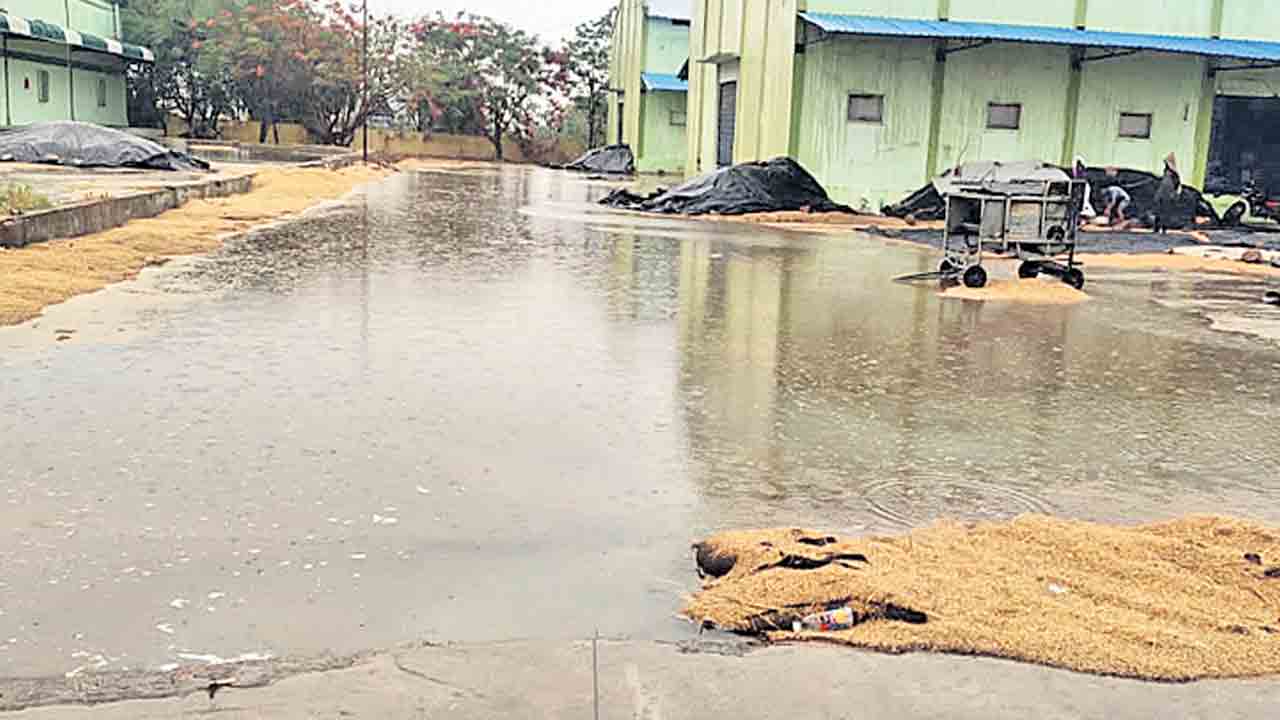 అకాల వర్షం.. తడిసిన ధాన్యం