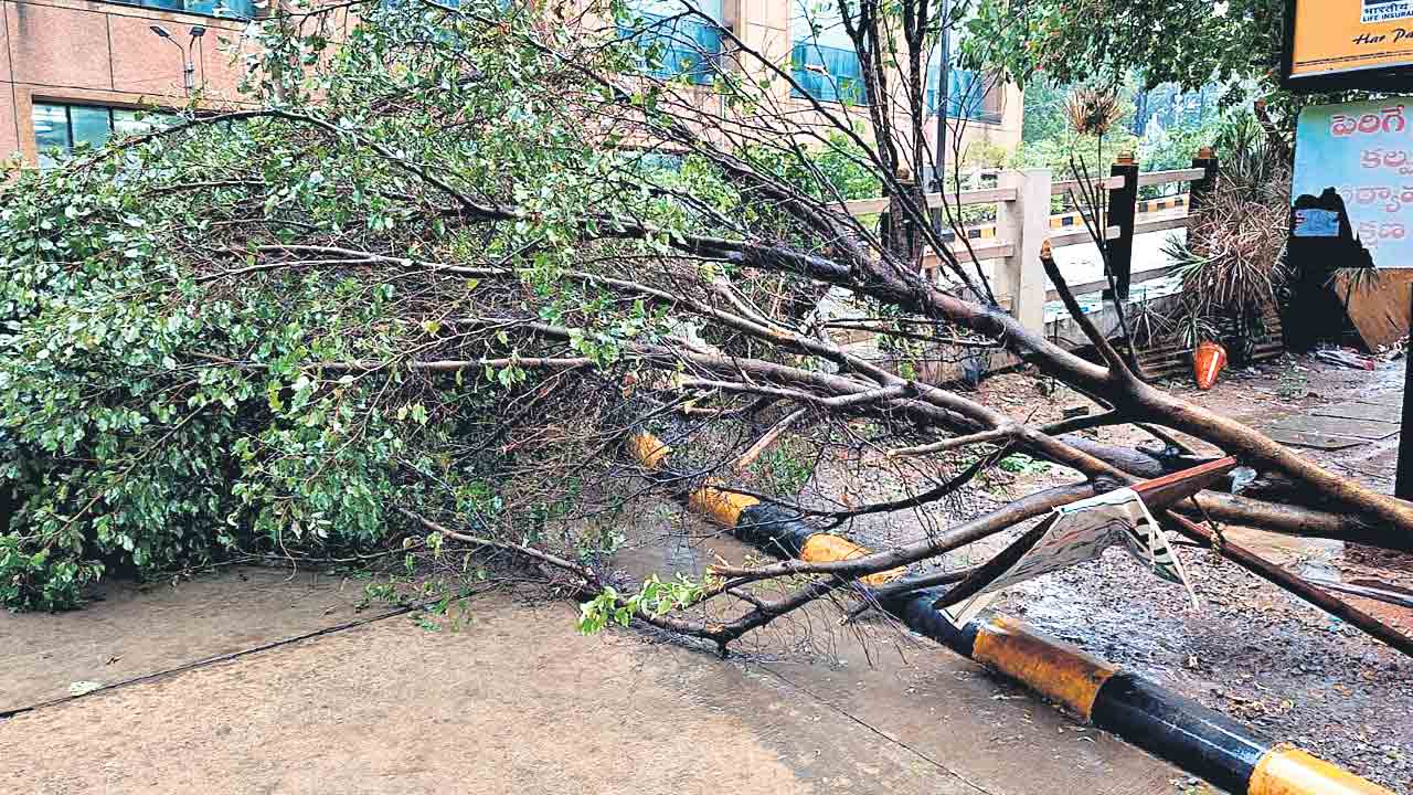 హడలెత్తిస్తున్న వానలు