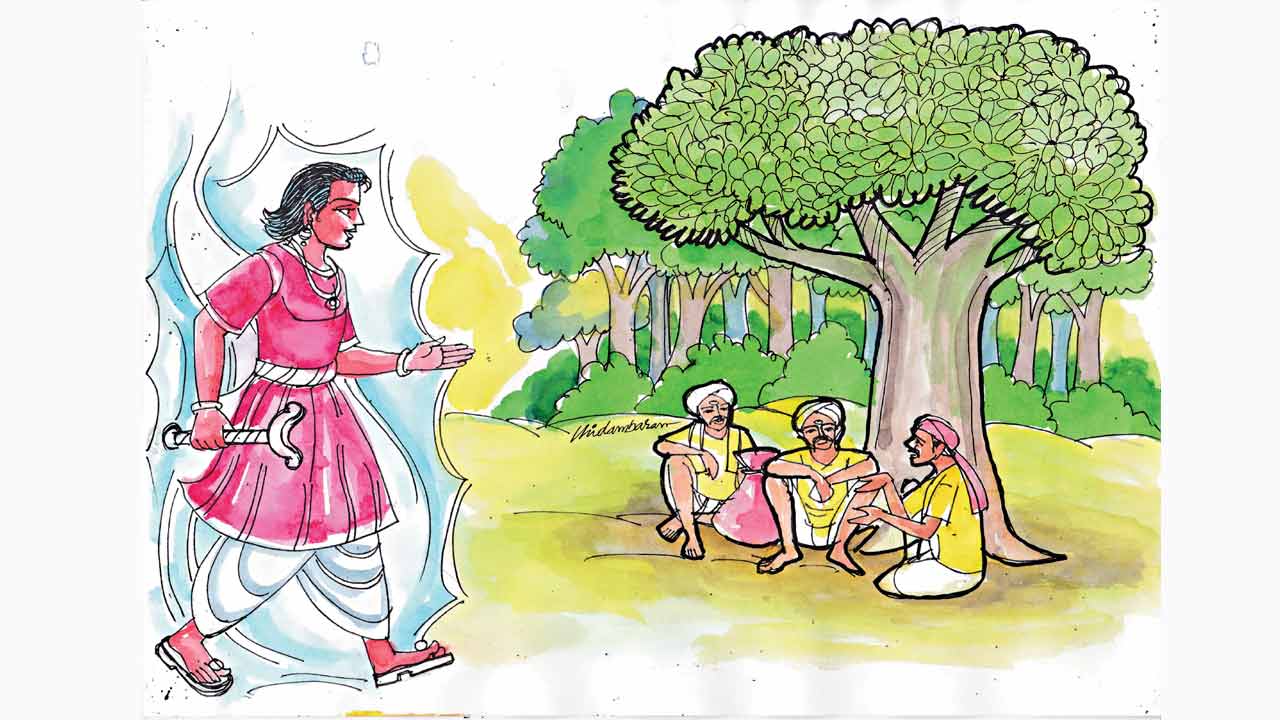 మర్రిచెట్టు మీద బొంతసంచి