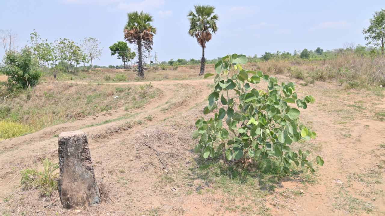 అటవీ భూములు అన్యాక్రాంతం