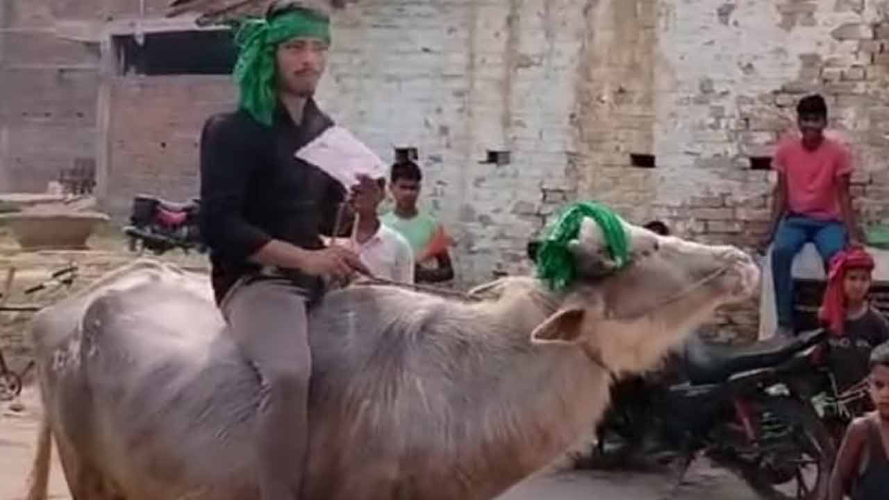 Man on Baffalo | తొలి ఓటు ఎప్పటికీ గుర్తుండాలని దున్నపోతుపై పోలింగ్‌ కేంద్రానికి ఓటర్‌.. Video