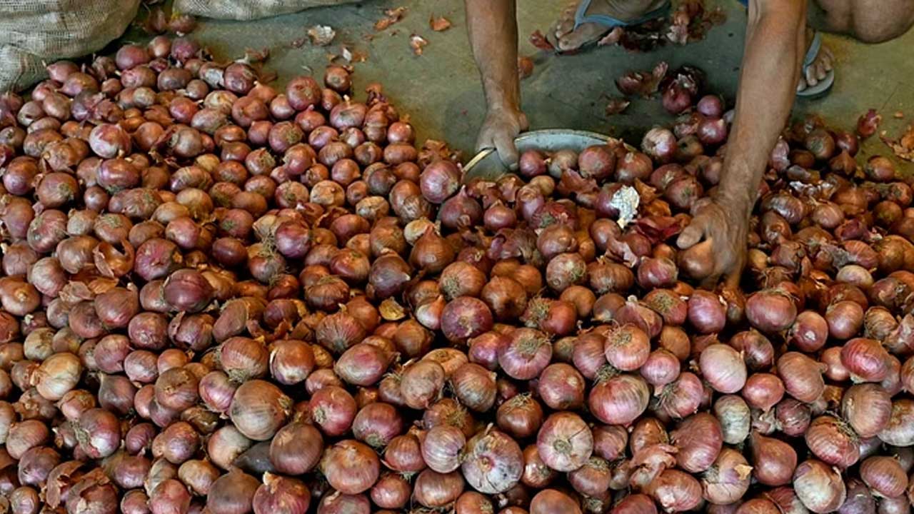 Onion Export | ఉల్లి ఎగుమతులపై నిషేధం ఎత్తివేత..! దేశంలో ధరలపై కేంద్రం ఏమన్నదంటే..?