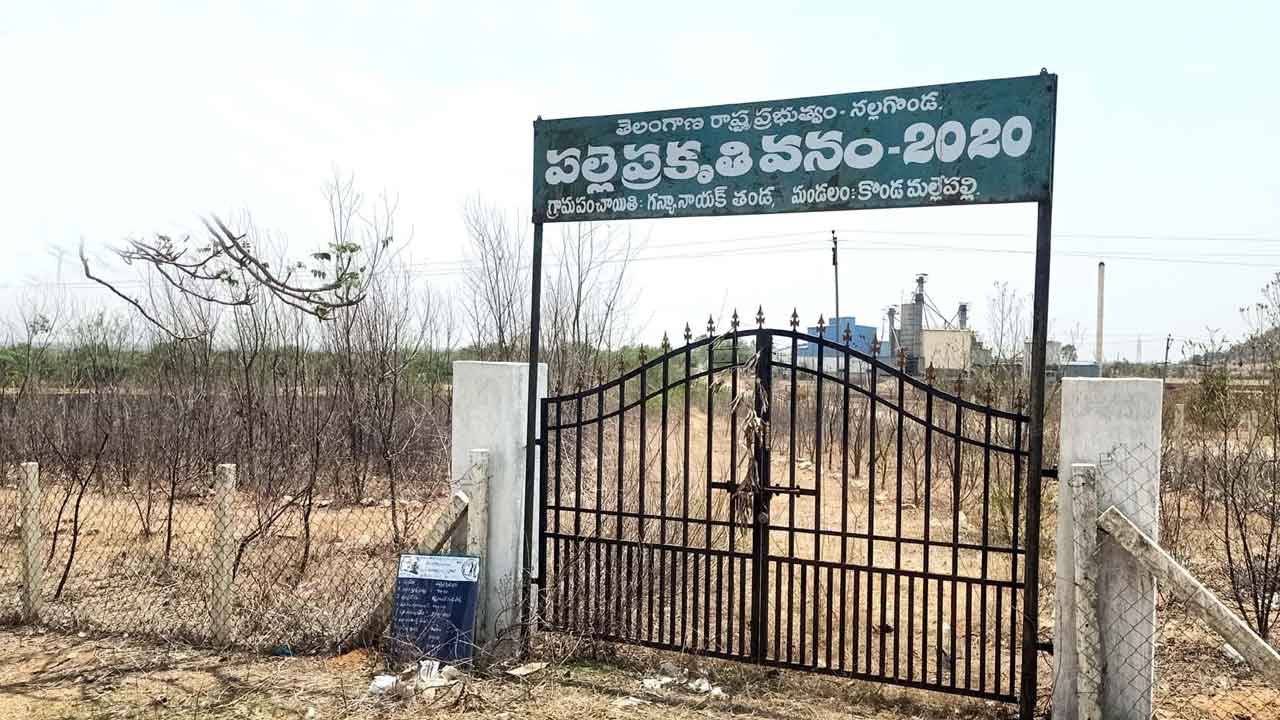 ప్రగతి మొక్కల పట్టింపేది?