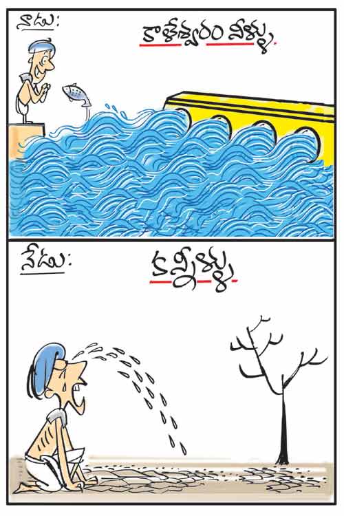 Pocket Cartoon