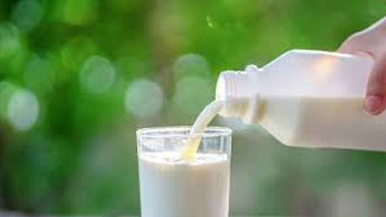 పచ్చి ఆవుపాలతో బర్డ్‌ఫ్లూ!