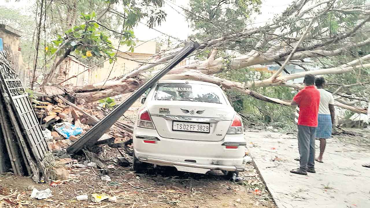 గాలివాన బీభత్సం