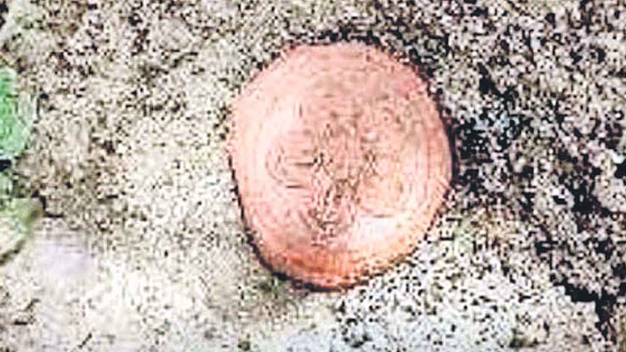 దామెరవాయిలో అరుదైన ముద్ర లభ్యం