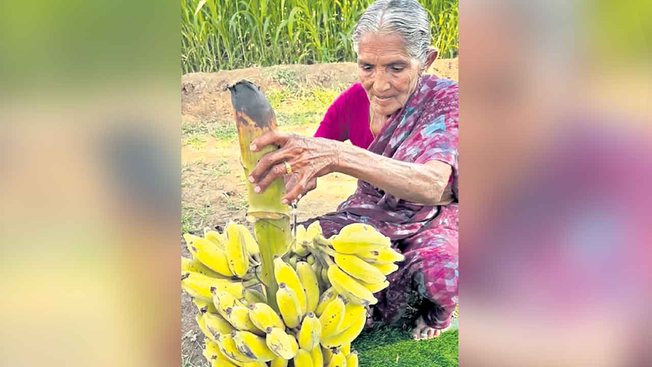 Eshwari | ప్రకృతిలో ఉన్న వింతను పరిచయం చేసిన 70 ఏండ్ల బామ్మ..